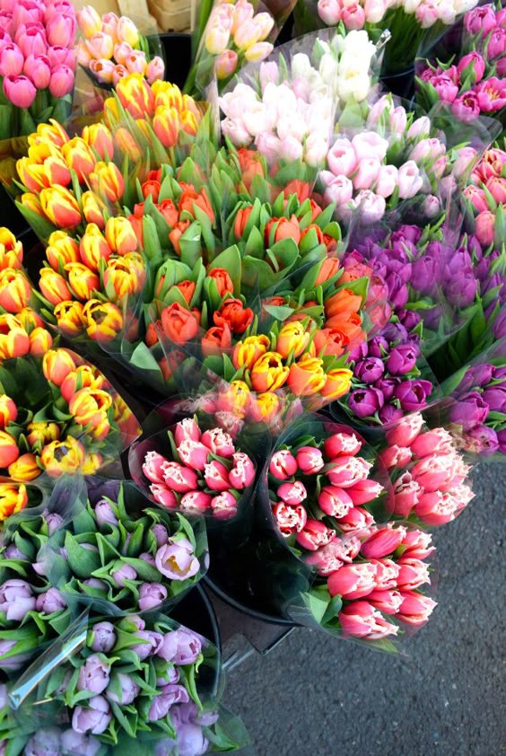 How To Spend A Sunny Sunday In Hoxton | Rachel Phipps