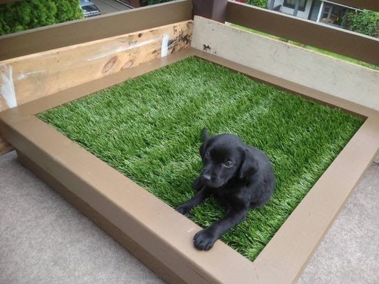 Diy Porch Potty For Dogs And Puppies Makes Clean Up Easy Allows You To Have A Dog In The City Bowl Indoor Area - Easy Diy Porch Potty Diy Porch Potty For Dogs And Puppies Makes Clean Up Easy Allows You To Have A Dog In The City Bowl Indoor Area - Easy Diy Porch Potty