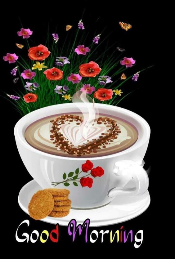 Pin by ❇️Daisy B❇️ on GOOD MORNING | Good night flowers, Good morning flowers, Good morning beautiful flowers