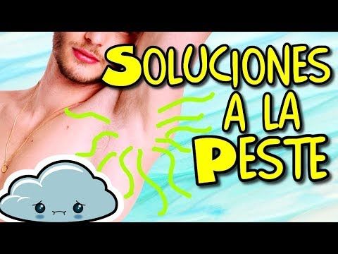 Axila Apestosa Olor Corporal Cutis Piel