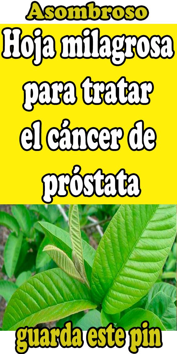 Hoja Milagrosa Para Tratar El Cáncer De Próstata Health Remedies Remedies Health