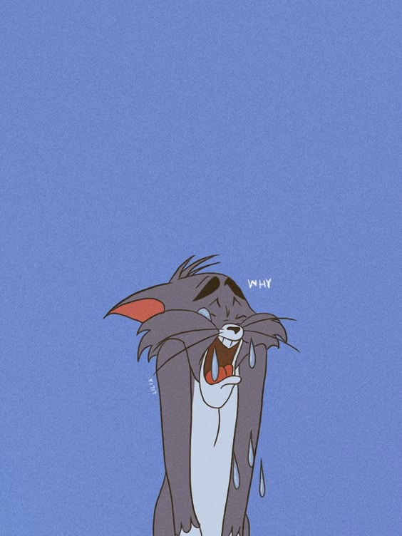 Tom and jerry wallpapers