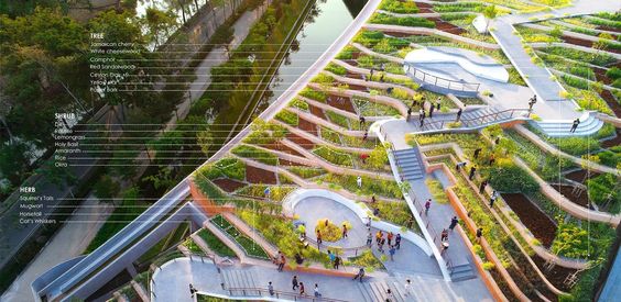 An Impressive Urban Farm Has Been Created On This Building’s Rooftop