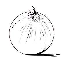 14 Free Printable Onion Coloring Pages In Vector Format Easy To Print From Any Device And Automatically Coloring Pages Vegetable Coloring Pages Onion Drawing