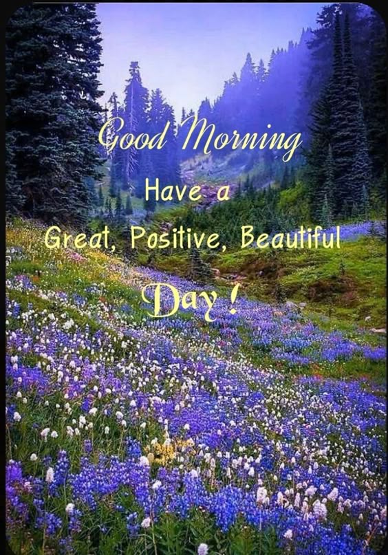 lions-with-good-morning