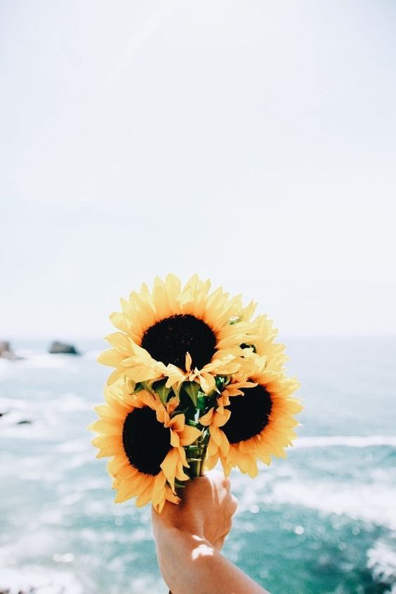 Bugigangaz Sunflower Wallpaper Art Wallpaper Aesthetic Iphone Wallpaper
