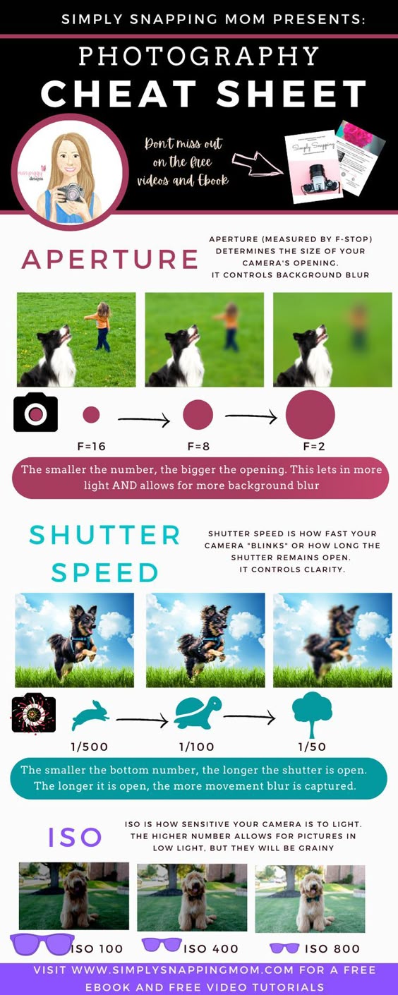 Photography Settings Cheat Sheet