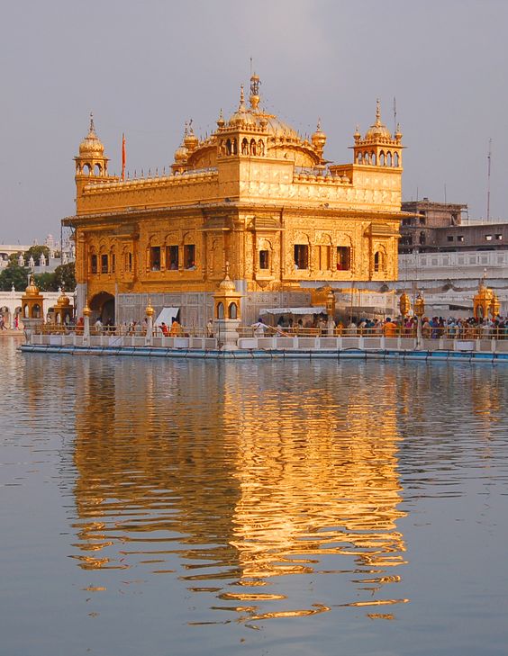 Golden reflexion