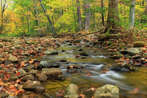 The 20 Most Beautiful Places In Pennsylvania Will Blow You Away