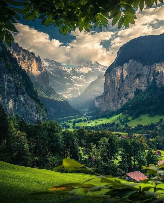 The Nature on Twitter