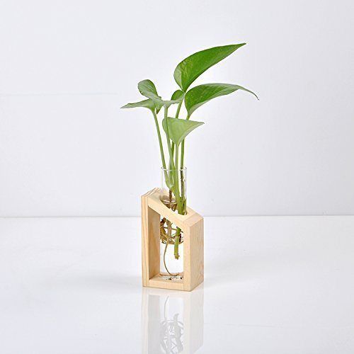 Glass Tube Vase Wooden Stand Flower Pots Hydroponic Plant Home Garden Decoration Glass Tube Vase Wooden Stand Flower Pots Hydroponic Plant Home Garden Decoration