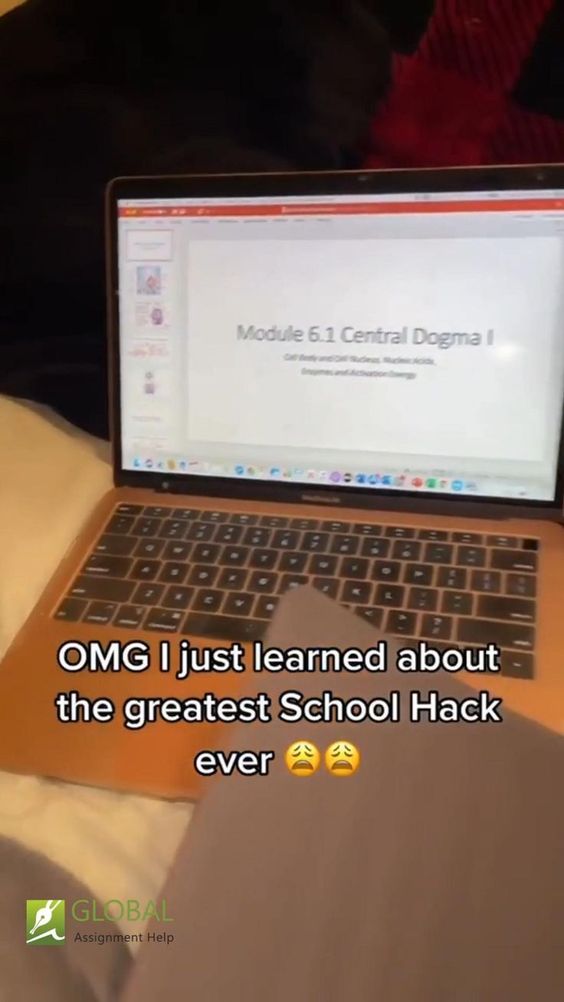 xml-school-life