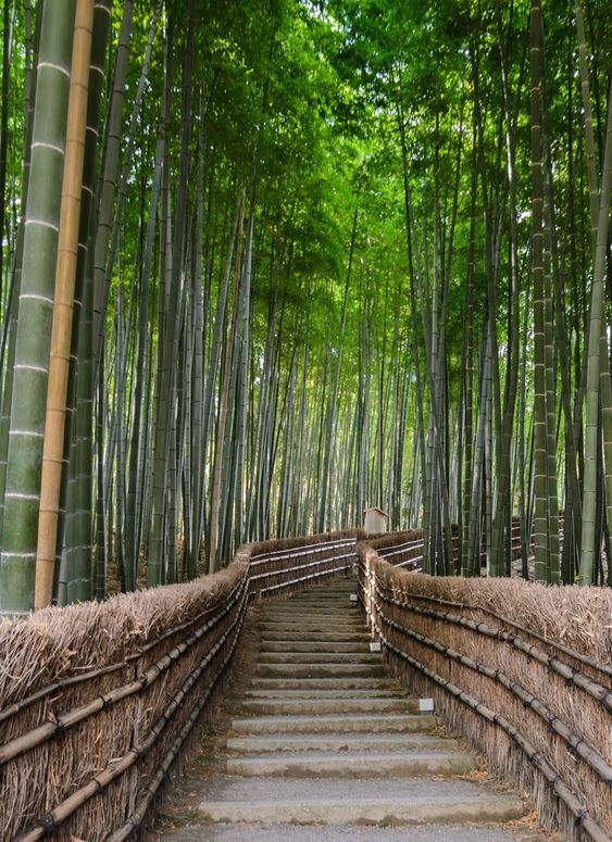 50 Most Beautiful Places In The World - The Crazy Tourist