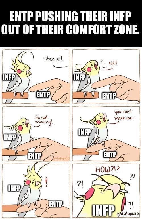 Some Delicious Mbti Memes For You Yet Again Straight From The Meme Vault Personalidade Infp Frases Engracadas Para Whatsapp Imagens Engracadas De Animais