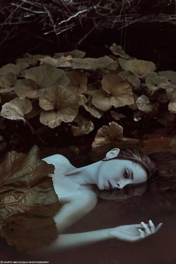 DISSOLVE por Marta Bevacqua, a través de Behance