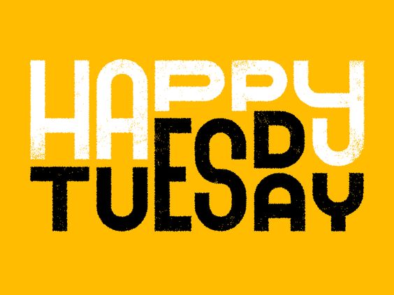 Happy Tuesday