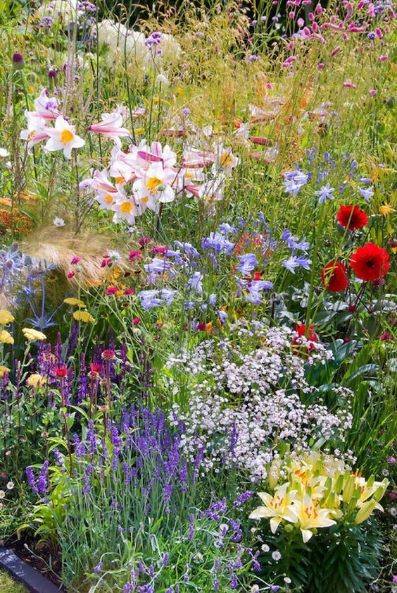 Essential Backyard Updates For The Summer