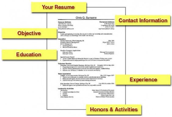 Blank Resume Forms To Print resume Pinterest Resume form - blank resumes to fill in Blank Resume Forms To Print resume Pinterest Resume form - blank resumes to fill in