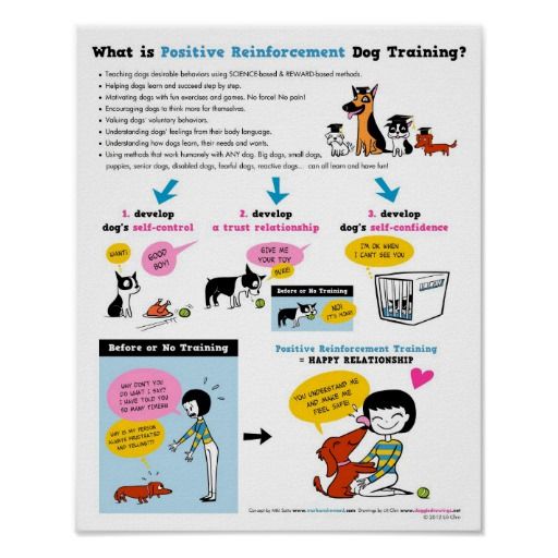 Positive Reinforcement Dog Training 16 X 20 Poster Zazzle Com