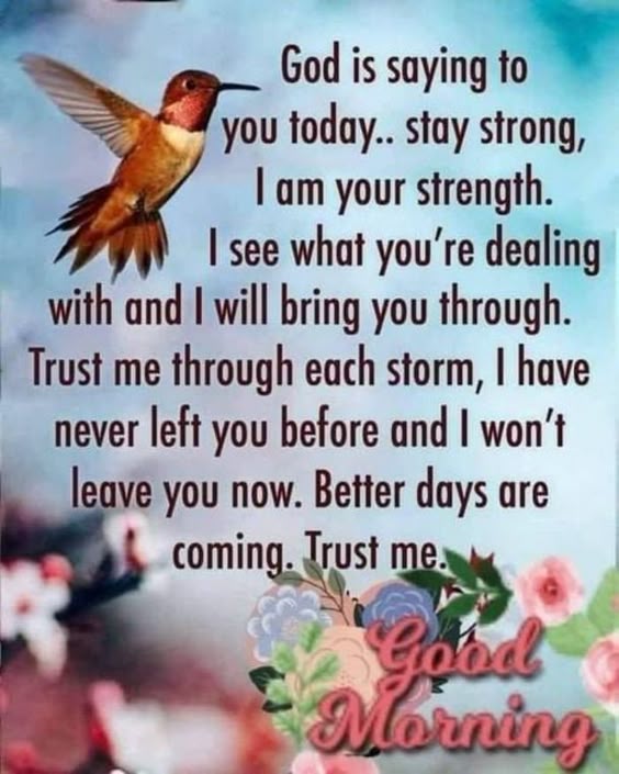 10 Top Daily Good Morning Quotes And Sayings