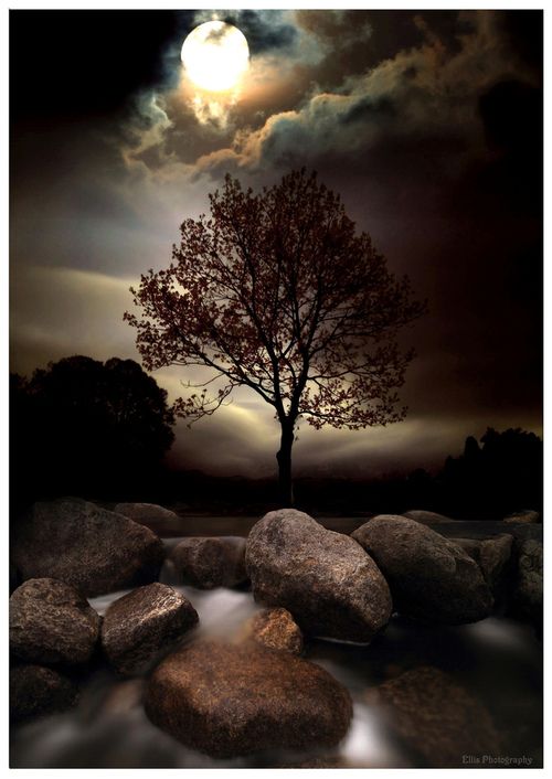 LA LUNA