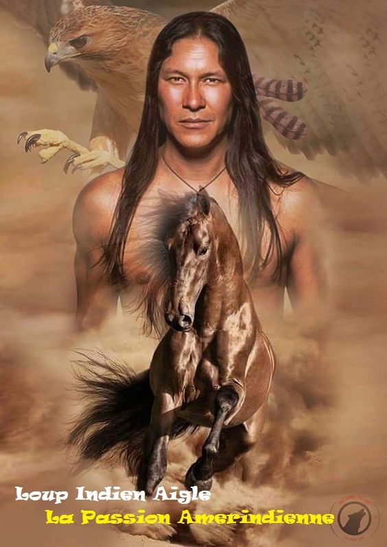 Pin On Loup Indien Aigle Passion Amerindienne Pin On Loup Indien Aigle Passion Amerindienne