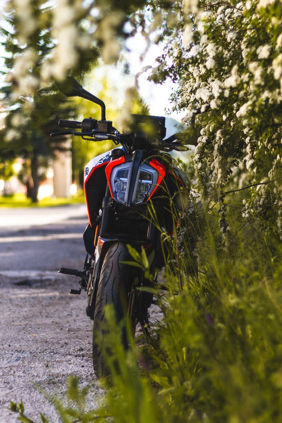 KTM DUKE 125 2017 in spring next to flowers, and nature, bush,