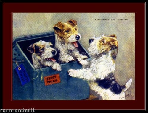 English Print Wire Fox Terrier Puppy Dog Art Picture English Print Wire Fox Terrier Puppy Dog Art Picture