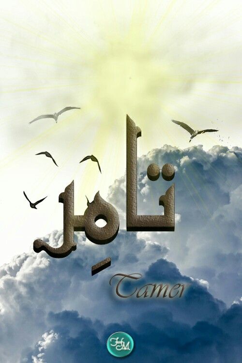 تام ر اسم علم مذكر عربي الأصل من أصل كلمة التمر على صيغة اسم الفاعل ومعناه صاحب تمر كثير بائع التمر وكما يقال تمرت النفس بمعنى طا Art Poster Movie Posters