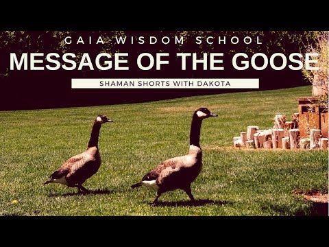 Shaman Short 012 Meaning Of The Goose Dakpta Walker Sillygoose