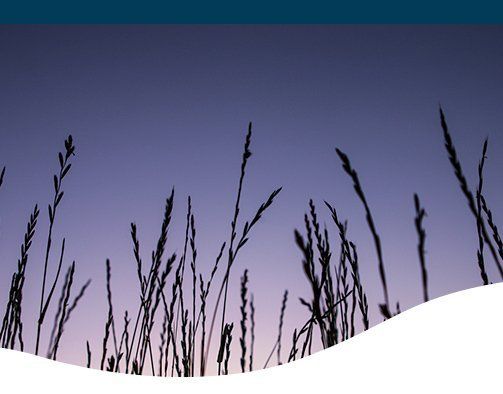 Classes Coming Soon Ted Lare Landscaping And Garden Center Des Moines Ornamental Grasses Easy Plants To Grow Ted Lare Landscaping, Ted Lare Garden Center Classes