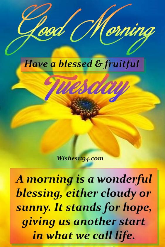 100+ Happy Tuesday Quotes | Inspirational Tuesday Quotes