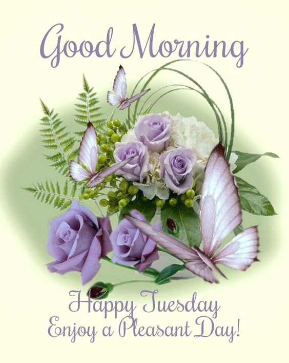 Happy Tuesday, Good Morning. Enjoy A Pleasant Day!