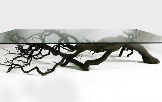 Tree Branch Coffee Table Design Ideas - White Branch Coffee Table Tree Branch Coffee Table Design Ideas - White Branch Coffee Table