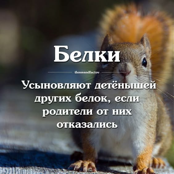 факти-бг