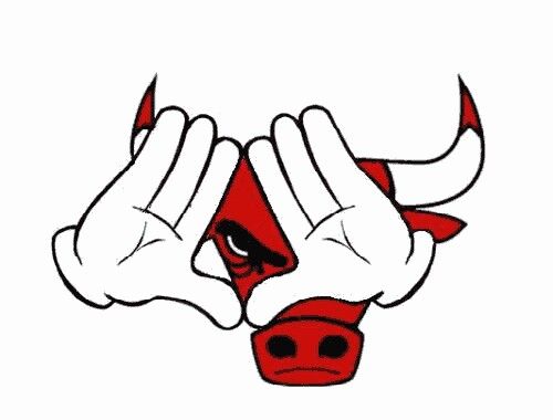 bulls nation chicago bulls pinterest chicago bulls