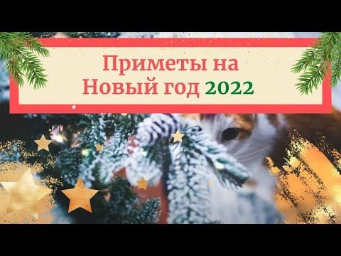 21 Новый Год 2022 21 Новый Год 2022