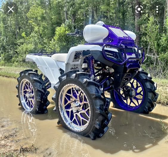 road-wheeler-dog