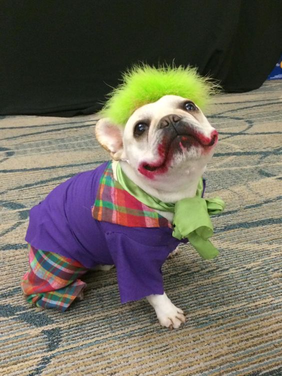 Some of the most impressive Halloween costumes you'll see this year.