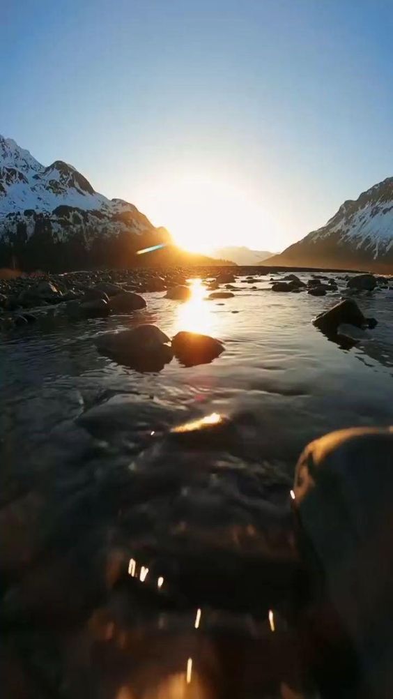4k Nature Video