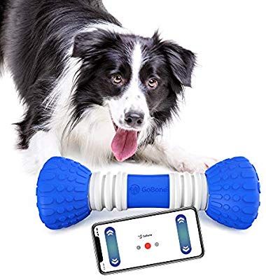 Amazon Com Gobone Interactive App Enabled Smart Bone For Dogs