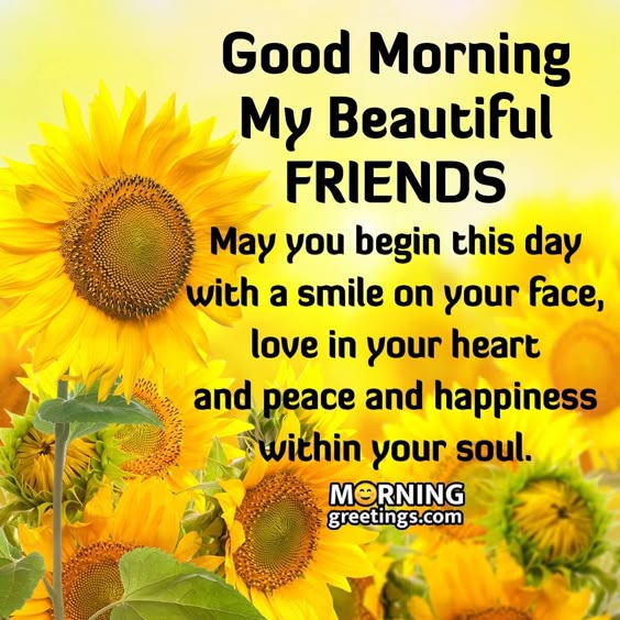 60 Good Morning Messages With Amazing Images - Morning Greetings – Morning Quotes And Wishes Images