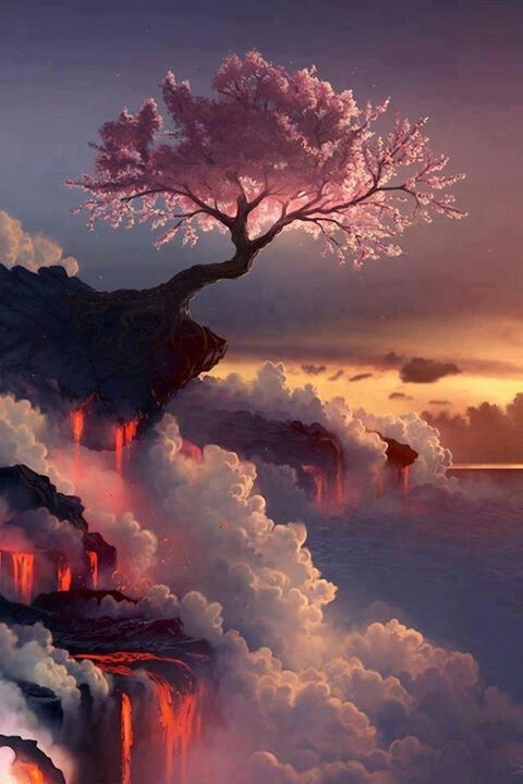 looks like something out of a magazine instead of a real pic of nature. simply beautiful. | Beautiful PicturZ : http://beautiful-picturz.tumblr.com/