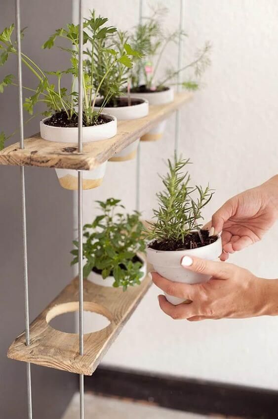 Plantas suspensas: ideias de decoração com plantas pendentes Plantas suspensas: ideias de decoração com plantas pendentes