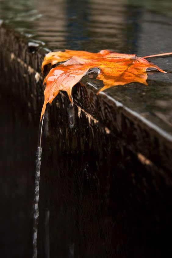 rain