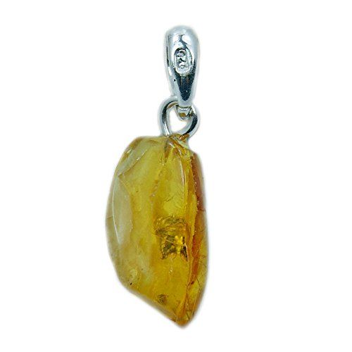 Rare Natural Baltic Amber with Insect Inclusion /& Sterling Silver Pendant