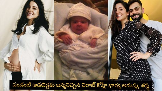 Virat Kohli Anushka Sharma Blessed with a baby girl | Creative Gallery |...