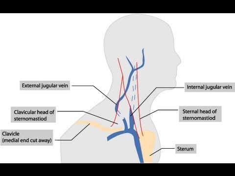central venous pressure