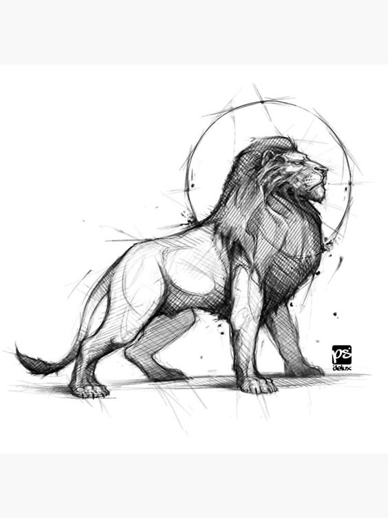 "proud lion sketch" Canvas Print by psdelux | Redbubble
