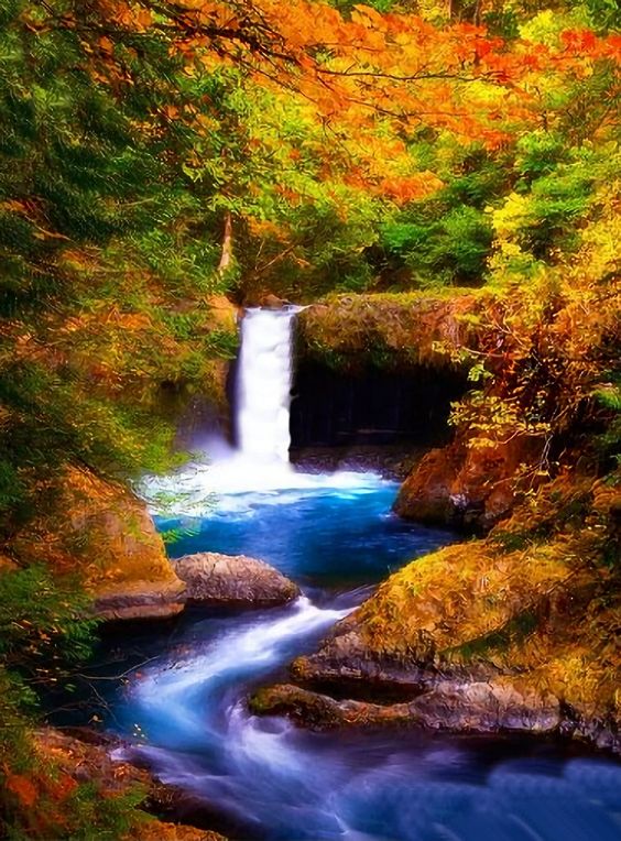 "Waterfalls DIY 5D Diamond Painting Kit Full Square and Round Diamond Drill 5D Diamond Mosaic Square Diamond Embroidery Animal 3d Embroidery Wall Art Cross Stitch diamond painting kit Kit Includes: Fabric printed with design chart, Colorful diamonds, Point Drill Pen, Drill Tray, Wax, and Tweezers. Frames NOT included. We have provided a size chart to compare the clarity differences between small and larger canvases. In addition, ordering round diamonds instead of square diamonds makes a huge dif